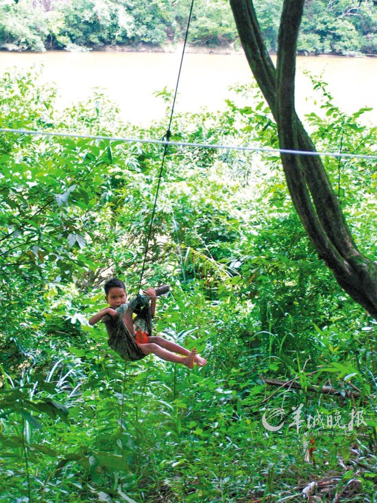 馬來(lái)西亞勇探原始森林 朝拜存活百萬(wàn)年森林 馬來(lái)西亞勇探原始森林 朝拜存活百萬(wàn)年森林