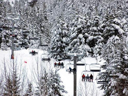 阿拉斯加，阿里耶斯卡