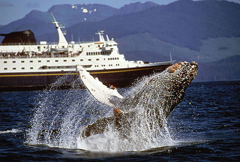 體驗阿拉斯加四季之美 感受地理美景 體驗阿拉斯加四季之美 感受地理美景