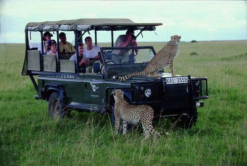 “狩獵”肯尼亞感受“危機(jī)四伏” “狩獵”肯尼亞感受“危機(jī)四伏”