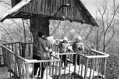 　　clubmed里有來自國外的滑雪教練教兒童滑雪?！? oldsrc=