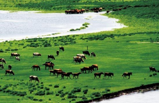 　　處處翠色欲流,馬兒自然入畫?！? complete=