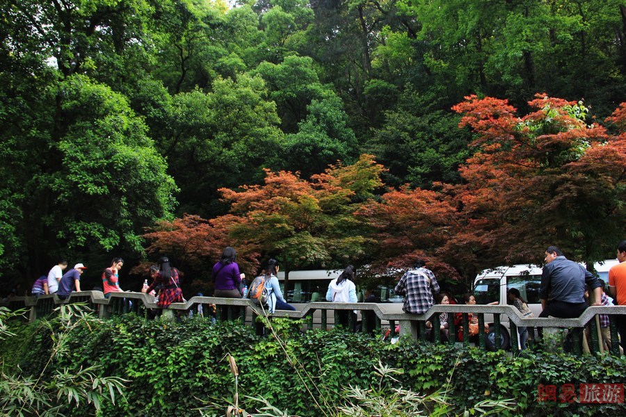 愛(ài)晚亭 岳麓山山下賞紅葉