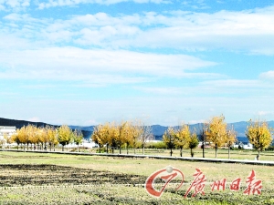 　　大理洱海湖畔美麗的鄉(xiāng)村景色。