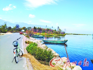 洱海的藍(lán)讓人沉醉。