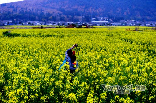 　　不論從人文氣息還是田園自然風(fēng)光,都值得我們?？俊?圖片來源:CFP)