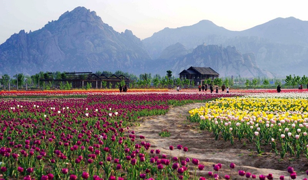 別樣蜜月，河南最適宜新婚度假的景區(qū)