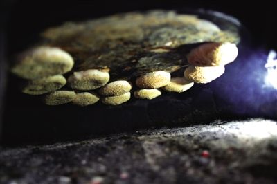 吊爐燒餅是黃驊最典型的面食之一，這種手藝在一些老院子里已經(jīng)傳承了上百年時間。