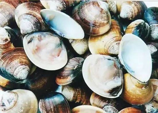 秋季最適合吃的海鮮是這10種 你吃對(duì)了嗎？