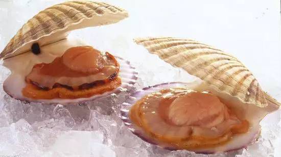 秋季最適合吃的海鮮是這10種 你吃對(duì)了嗎？