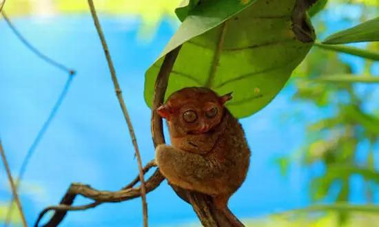 適合在冬天旅游的十個絕美海島！