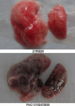 微博中的對(duì)比圖片