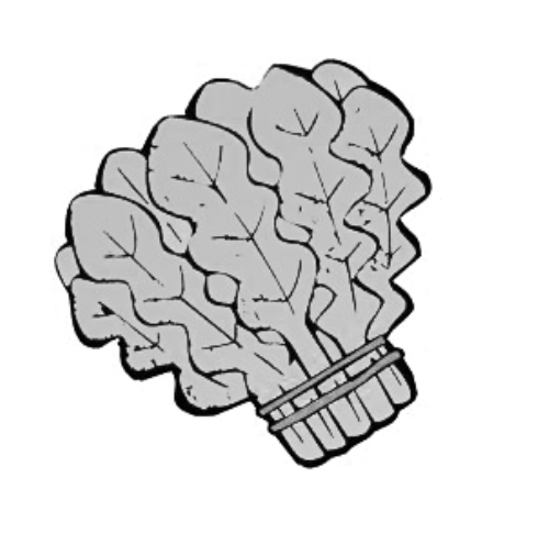 雪后菜價(jià)瘋漲15倍？沒恁夸張 元旦豬肉雞蛋或漲價(jià)