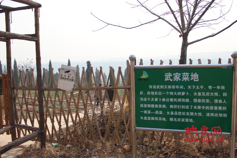 武家菜地就是這，據(jù)說里面有個(gè)特大的蘿卜