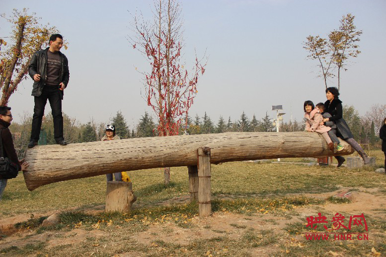 巨大的蹺蹺板，一棵樹。。?？赐娴亩噜? oldsrc=