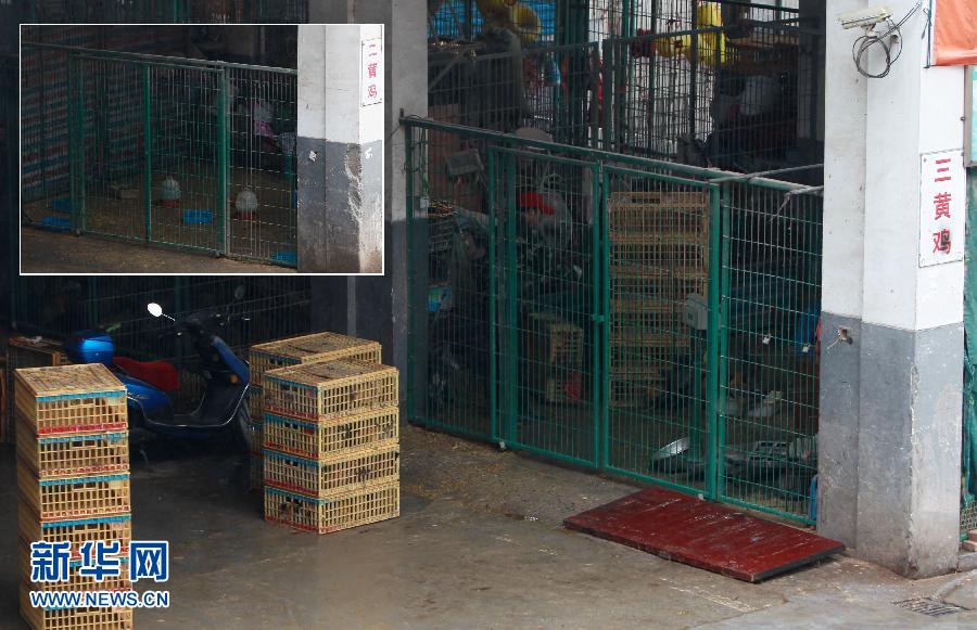上海6日起暫?；钋萁灰?關(guān)閉所有活禽交易市場