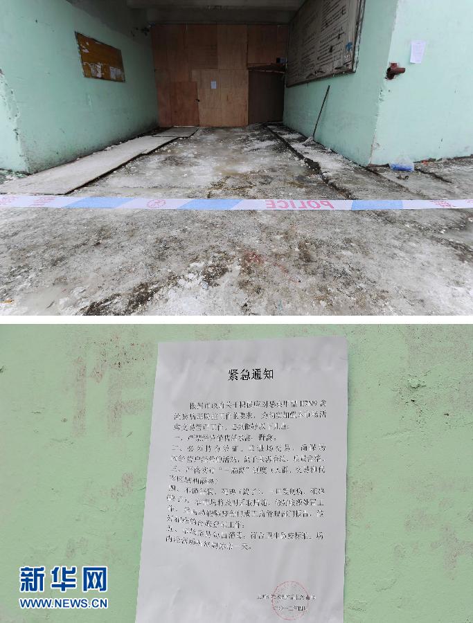 上海6日起暫?；钋萁灰?關(guān)閉所有活禽交易市場