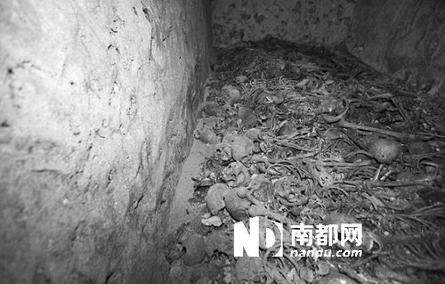 　5月29日，在以色列特拉維夫市雅法地區(qū)，一處集體墳?zāi)贡话l(fā)現(xiàn)。