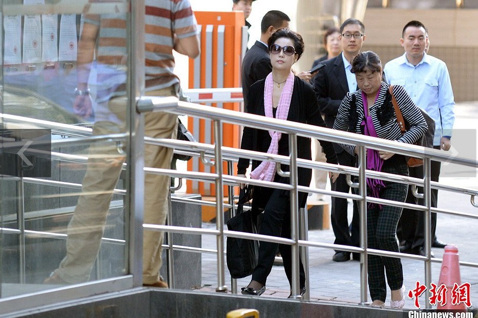 夢鴿現(xiàn)身海淀法院。中新網(wǎng)記者 金碩 攝