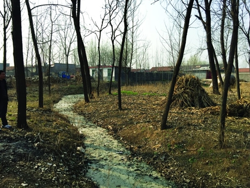 486臺兒莊戰(zhàn)役將士埋骨荒野 紀念設施或年內落成