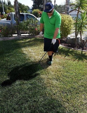 加州一市民正在為草地翻新“整容”。