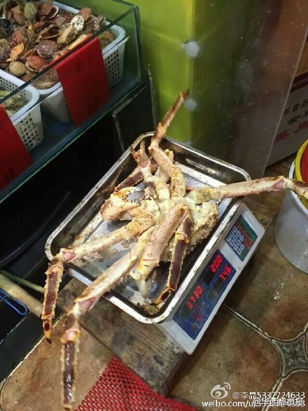 網(wǎng)友提供圖片。
