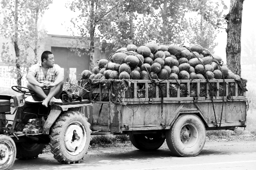 　看著滿滿一車瓜，一瓜農(nóng)愁眉不展。