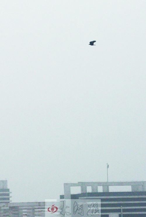 全省35個(gè)縣市發(fā)布惡劣天氣預(yù)警信號(hào),其中15個(gè)發(fā)布大霧紅色預(yù)警 全省35個(gè)縣市發(fā)布惡劣天氣預(yù)警信號(hào),其中15個(gè)發(fā)布大霧紅色預(yù)警