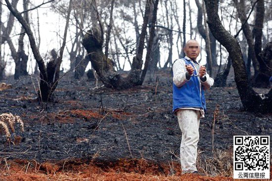 山林被燒得滿目瘡痍。