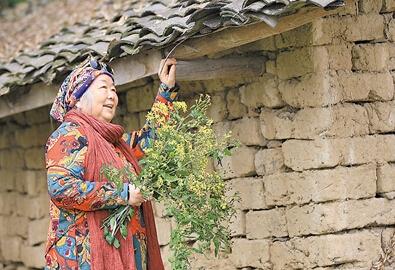 公式“時(shí)尚奶奶”的賞花照，收獲了好多人的點(diǎn)贊。 受訪者供圖