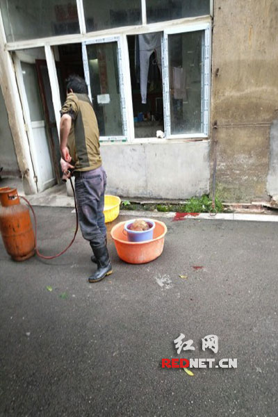 5月8日，男子在校園里殺狗，地上殘留一塊血跡。目擊者供圖。