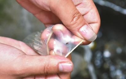 避孕套存在小孔。