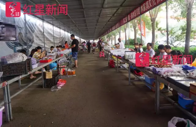 文玩核桃遇冷由幾萬一對(duì)降到5元沒人要？商戶否認(rèn)