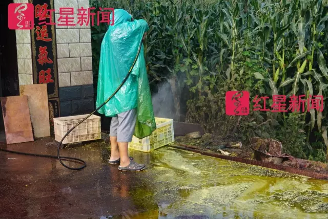 文玩核桃遇冷由幾萬一對(duì)降到5元沒人要？商戶否認(rèn)