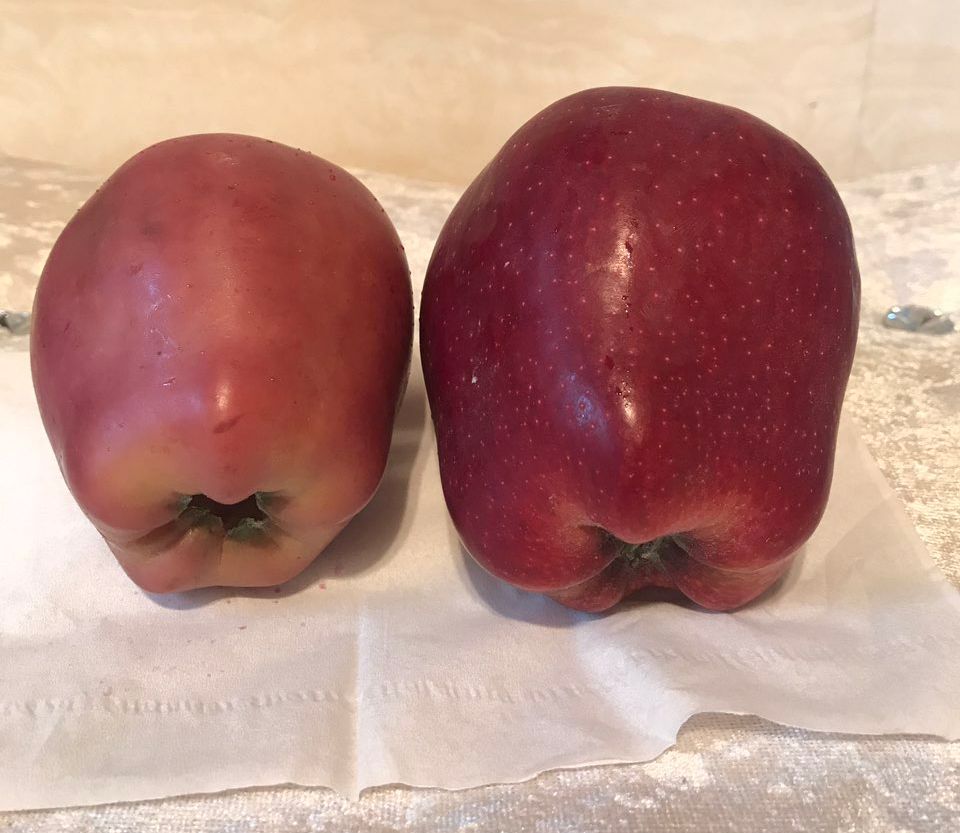 嚇懵！女子用熱水泡蘋果結(jié)果冒出血珠 咋回事？