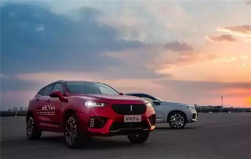 去年“蹦”出來的新汽車品牌們，現(xiàn)在活得怎么樣了？