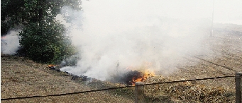 鄭州深陷“霾”伏   都是燒秸稈惹的禍？