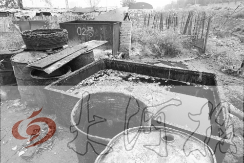 　　骯臟、令人作嘔的油桶凌亂地擺放在院子里，為了避免視覺刺激，我們把它做成了黑白圖片。