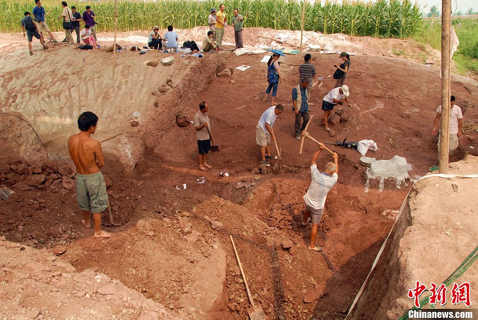 恐龍化石發(fā)掘現(xiàn)場。
