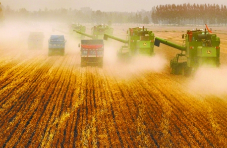 田里，一臺(tái)臺(tái)收割機(jī)唱著豐收歌。