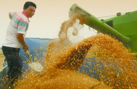 心情喜悅麥龍舞。