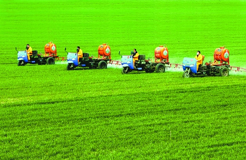 車載噴霧機(jī)奔駛在萬畝高產(chǎn)田里。