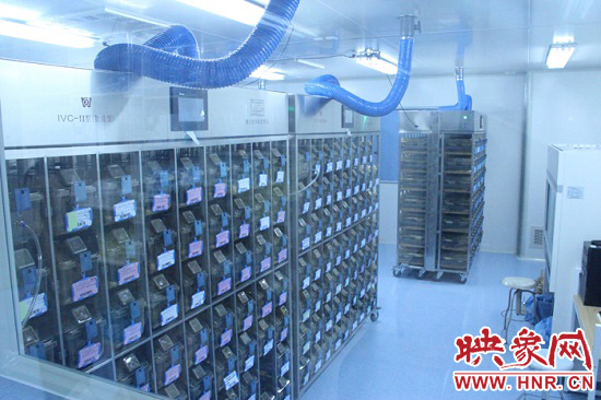 “鼠村”里每一個(gè)籠子是一家?！按濉崩镒≈?萬(wàn)只左右的小鼠