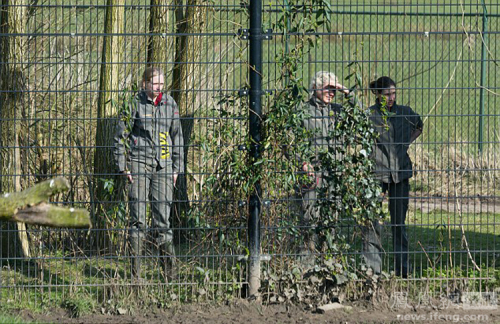 荷蘭動物園一獅子頭被卡塑料桶