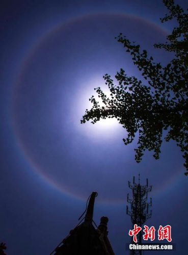 棗莊現(xiàn)日暈藍天美景 棗莊現(xiàn)日暈藍天美景