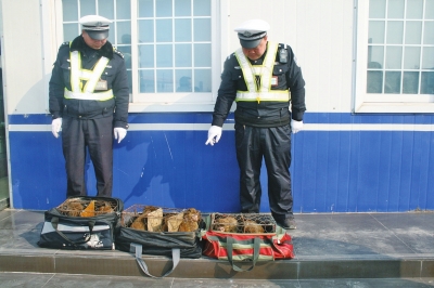 民警查獲的乘客行李包中，裝的全是獼猴。