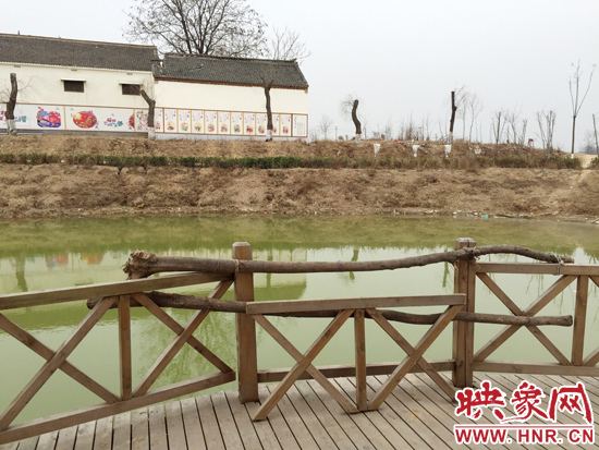 護(hù)欄損毀的地方，已經(jīng)被兩根樹(shù)干擋住。