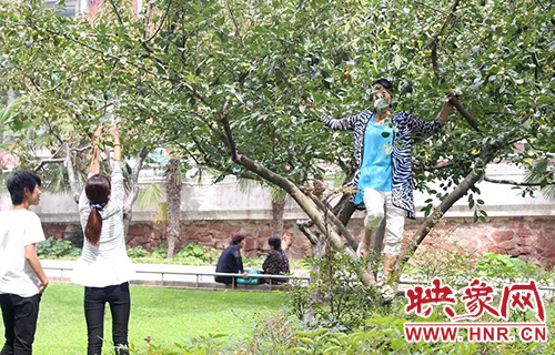 爬樹摘果子 爬樹摘果子