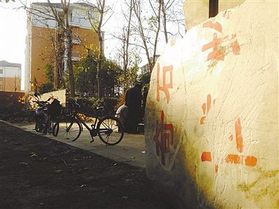 昨日，“上海奇石盆景博物館”原址上，已矗立起小區(qū)樓盤，而刻著博物館名的巨石，廢棄在一旁。本版圖片/新京報記者 張永生 攝