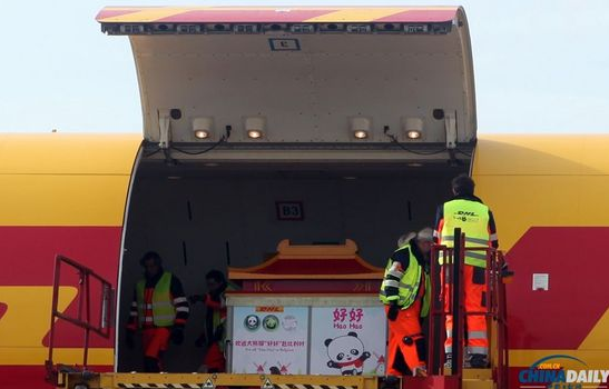 大熊貓“好好”抵達(dá)布魯薩爾國(guó)際機(jī)場(chǎng)。記者 付敬 攝